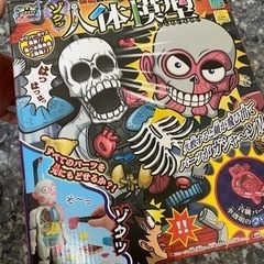 人体模型　クラッシュ