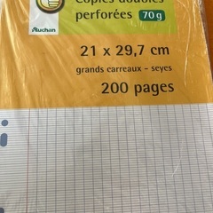 フランスのノート　未使用　使用　混雑の画像