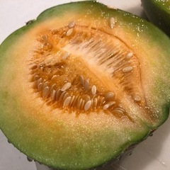 【無農薬】ウリ　1キロ250円