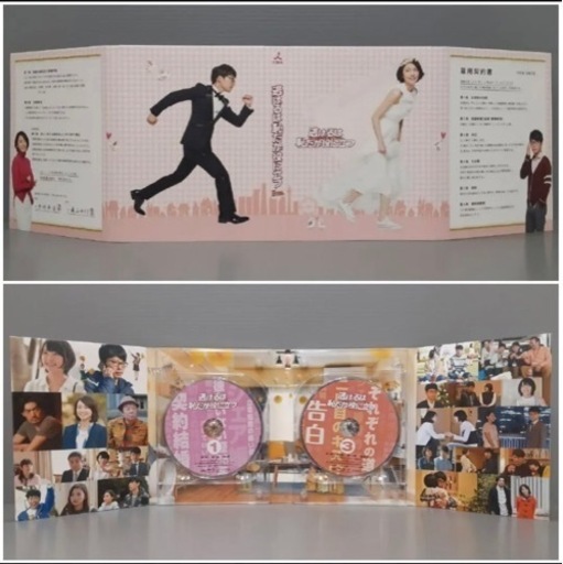 逃げるは恥だが役に立つ Blu-ray BOX〈4枚組〉