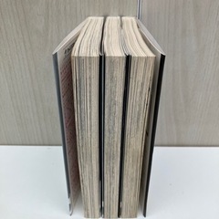 【決まりました！】［冨樫義博］レベルE 全3巻の画像