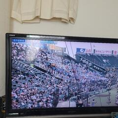テレビ大型