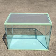 プラスチック水槽　36cm　グリーンの画像