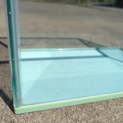 プラスチック水槽　36cm　グリーンの画像