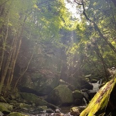 千波湖散歩しませんか❓ − 茨城県