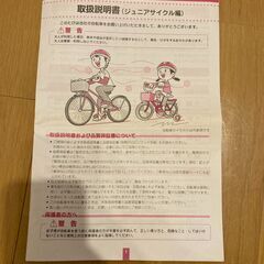BRIDGESTONE ブリヂストン SCHLEIN シュラインの画像