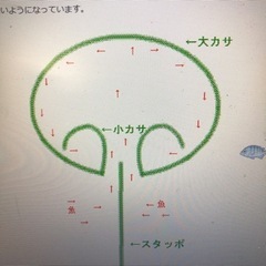 8/15(火)木更津にスダテ漁🐟一緒に行きませんか？☺️ - その他