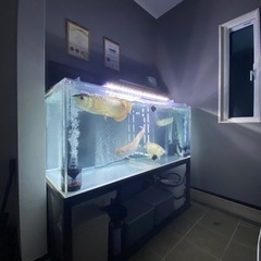 1500 水槽の画像