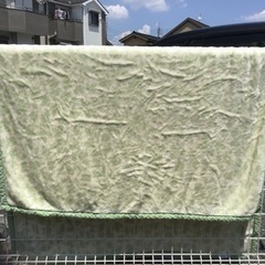 引渡済　中古　毛布　グリーン　葉柄の画像