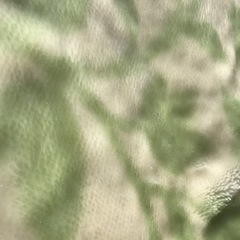 引渡済　中古　毛布　グリーン　葉柄の画像