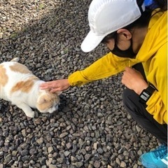 ゆる〜くいっしょに走りませんか🏃‍♀️
