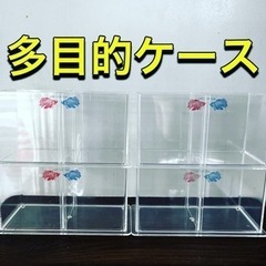 激安‼️‼️多目的ケース