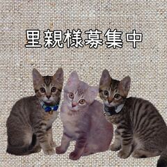 （再）里親様募集中