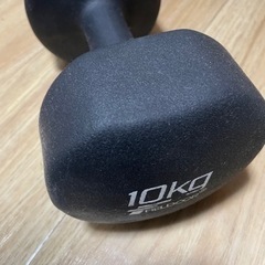 ダンベル10kg  2個(お1つからお求め可)の画像