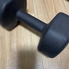 ダンベル10kg  2個(お1つからお求め可)の画像