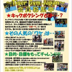 下伊那郡キックボクシング(下伊那郡、上伊那郡、飯田市、駒ヶ根市)の画像