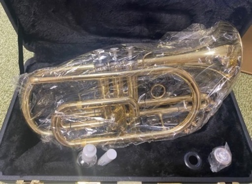 【8／8限り】Blessing BCR-1230