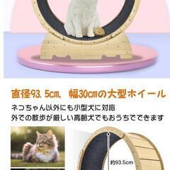キャットホイールの画像