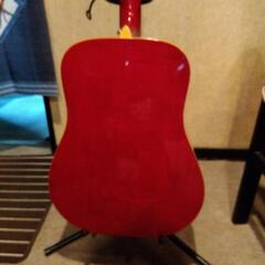 Epiphone　Doveの画像
