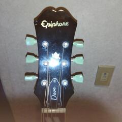 Epiphone　Doveの画像