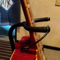 Epiphone　Doveの画像