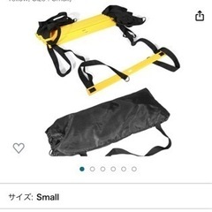 ラダー トレーニング 陸上競技 敏捷性のはしごトレーニング