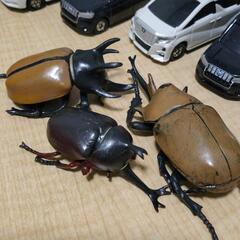 ミニカー 無料で差し上げますの画像