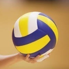 バレーボール🏐 - スポーツ