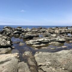 あなたの時間　自分と共有しませんか