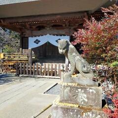 神社仏閣巡り・御朱印集めご一緒にいかがですか？ − 埼玉県