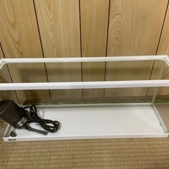 ガラス水槽(横長)