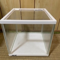 GEX 水槽