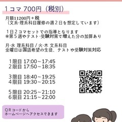 集団塾の価格帯での個別指導＊那覇市長田（沖縄家庭教師派遣センター）の画像