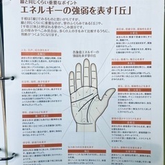 占いの世界　西洋・東洋占術の全ての画像