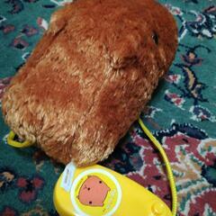 カピバラさん カピパラの画像