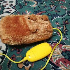 カピバラさん カピパラの画像