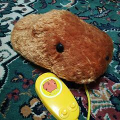 カピバラさん カピパラの画像