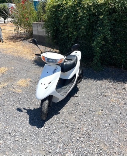 604.  動画あり　ホンダ　ライブディオZX仕様　原付　バイク　50cc   車体