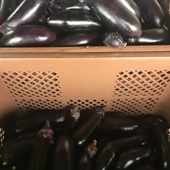 規格外野菜などのヘルプ
