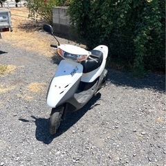 606. 動画ありホンダライブディオZX仕様原付バイク50cc 2スト