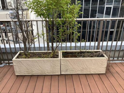 TOSIN プランター売ります