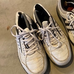 ゴルフシューズ　25cm