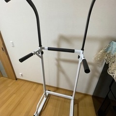 チンニング(ぶら下がり健康器)