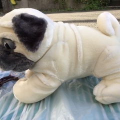 中古　ブルドック　犬　dog  ぬいぐるみ　白の画像