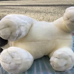 中古　ブルドック　犬　dog  ぬいぐるみ　白の画像