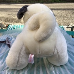 中古　ブルドック　犬　dog  ぬいぐるみ　白の画像