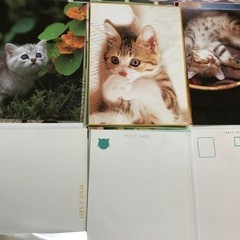 子猫写真集　ハガキなど