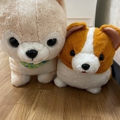 ぬいぐるみ の画像