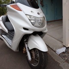 マジェスティ 250 sj30 実動‼️