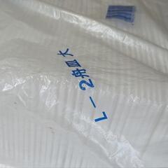 2舟皿　大　新品　200皿半の画像